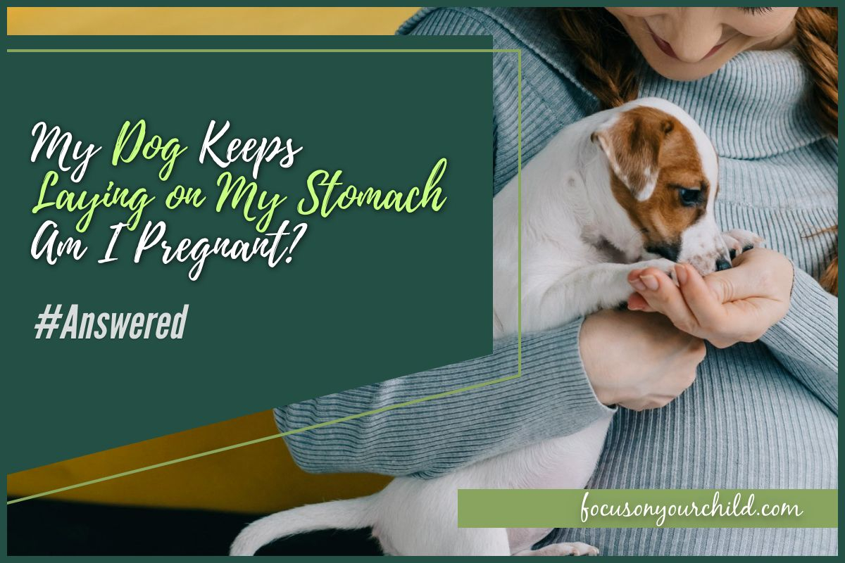 my-dog-keeps-laying-on-my-stomach-am-i-pregnant-answered