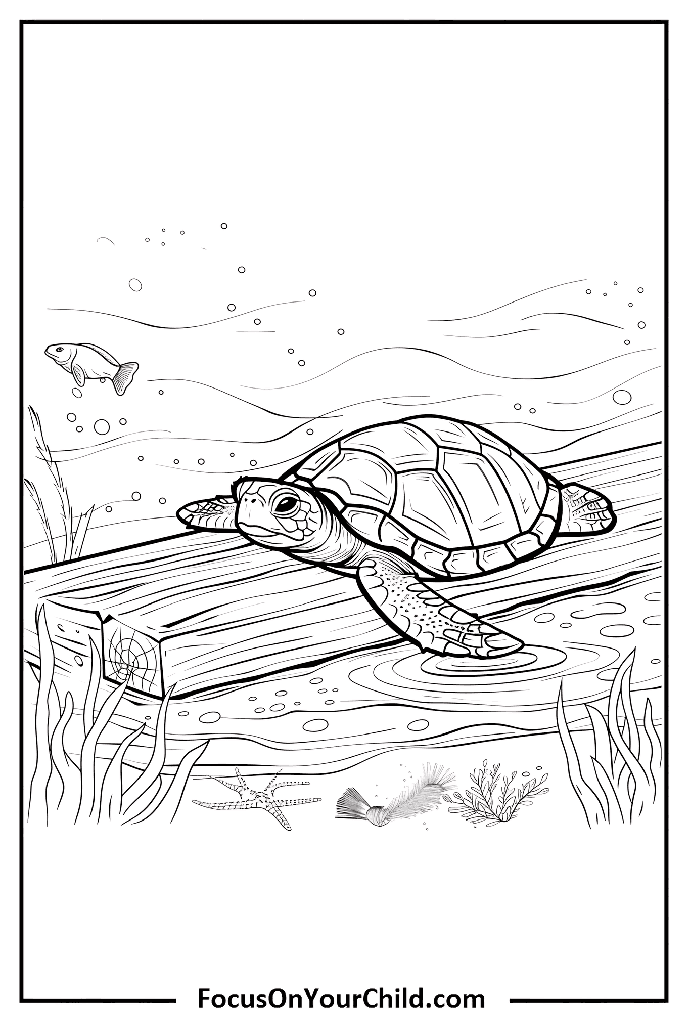 Detailed black-and-white underwater illustration featuring a turtle, fish, bubbles, and marine vegetation.