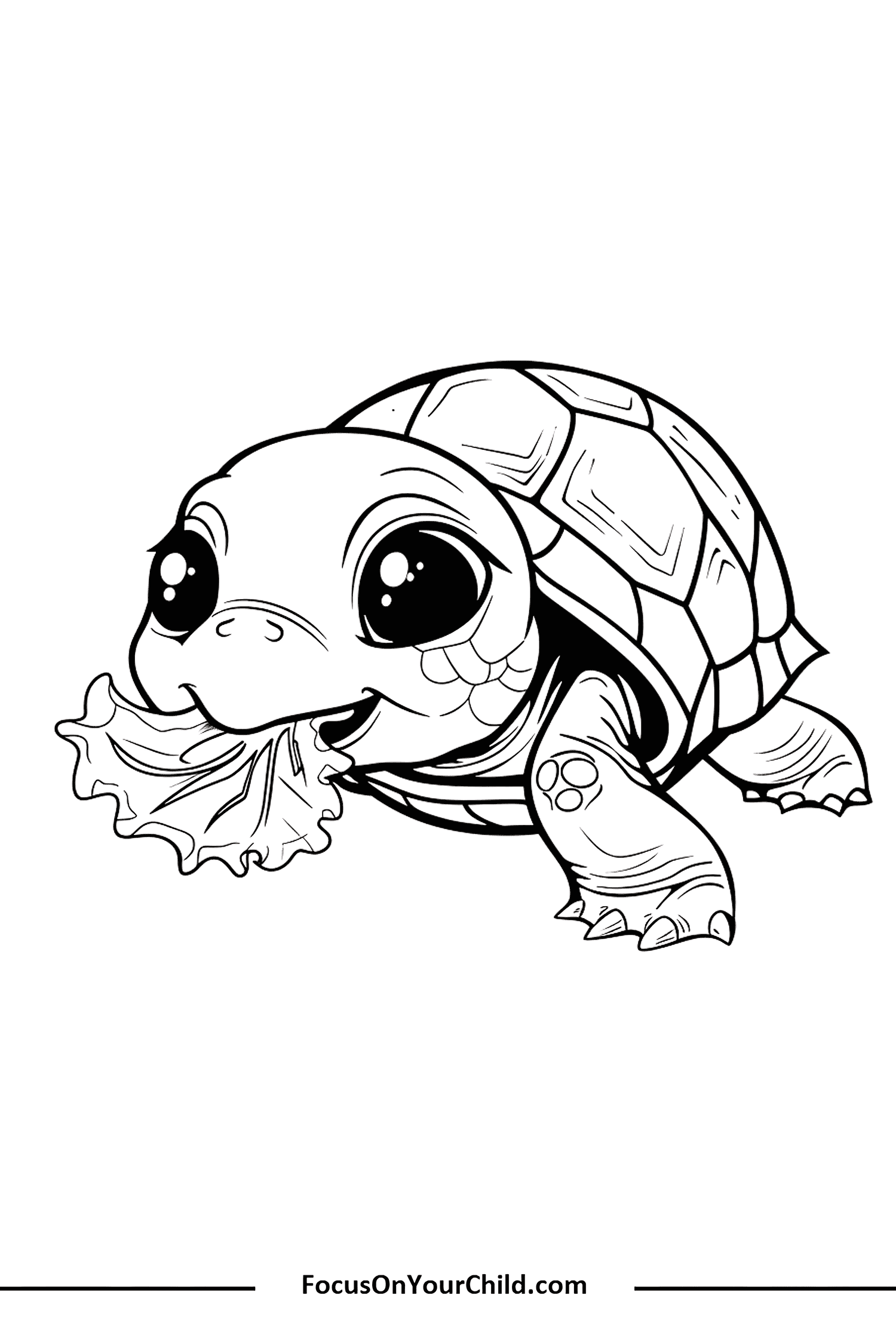 Detailed drawing of a cute turtle chewing lettuce, perfect for coloring and educational purposes.