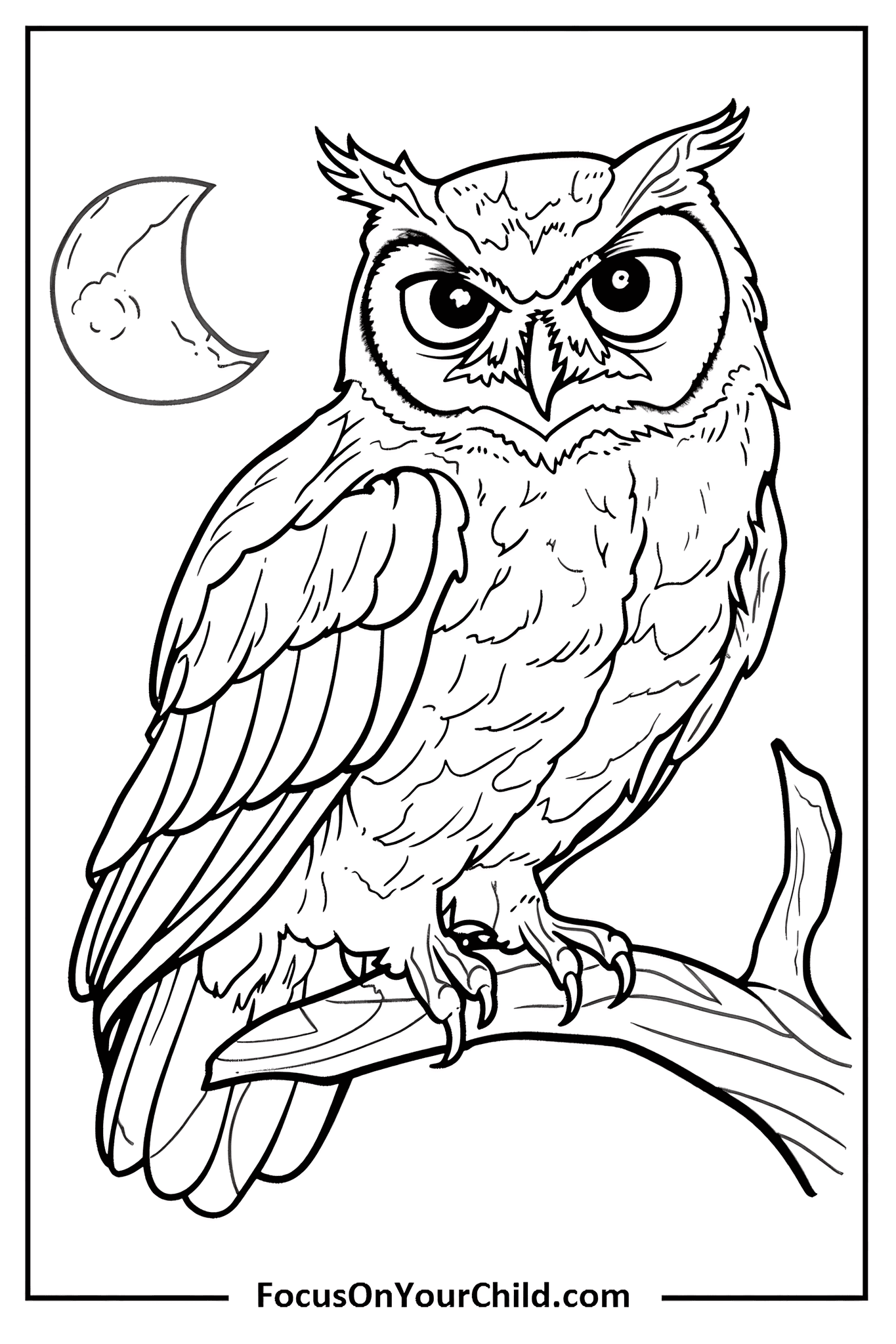Detailed black and white owl drawing perched on a branch under a crescent moon.