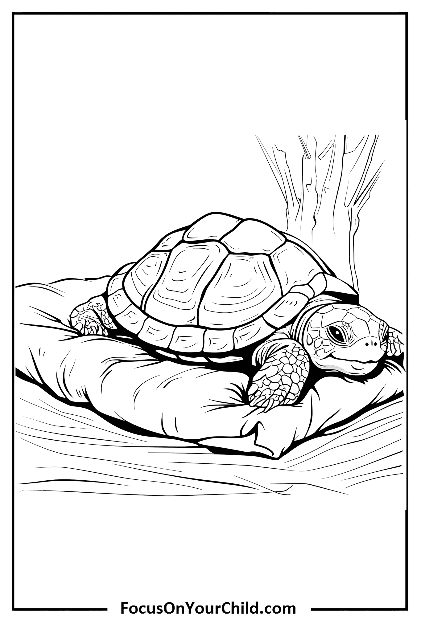 Detailed drawing of a tortoise resting on a cushion in a natural setting.